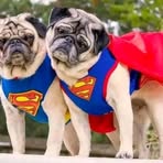 Profile Picture of Mark Charl (@Mark-Charl) on Facebook