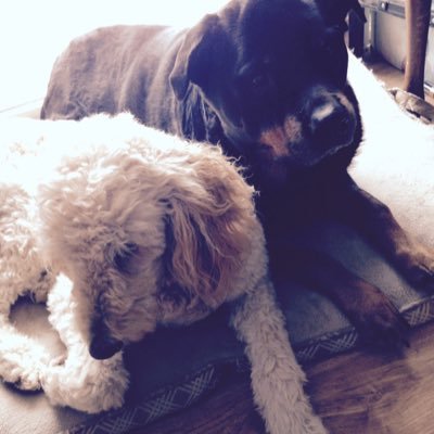 Profile Picture of Travis Wallace (@wally_5475) on Twitter