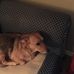 Profile Picture of Iris Hood (@iris.hood.505) on Facebook