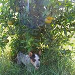 Profile Picture of Piter Ascención (@Piter-Ascención) on Facebook