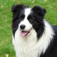 Profile Picture of Max Stone (@max-stone-23) on Quora