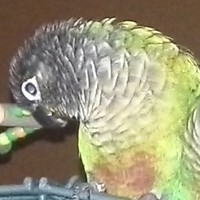 Profile Picture of Raquel Assis (@raquel-assis) on Quora