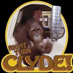 Travis Melby - Instagram Profile Picture of Travis Melby (@deckard__b26354) on Instagram