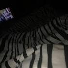 Profile Picture of   Sol Griss(@solgriss25) |... (@solgriss25) on Tiktok