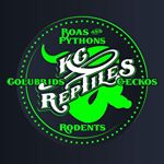 Profile Picture of Kyle Carlisle (@kcreptilesandrodents) on Instagram