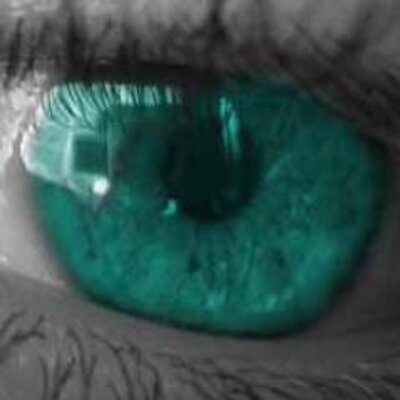 Profile Picture of Adams Marckel (@Adam_Markel) on Twitter