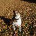 Profile Picture of James Witte (@james.witte.756) on Facebook