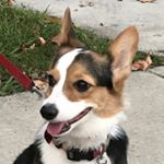 Profile Picture of Larry Ferris (@larry.ferris) on Instagram