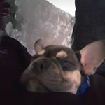 Profile Picture of waynek (@kershaw_w) on Instagram