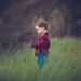 Profile Picture of Jimmy Mears (@jimmym6614) on Pinterest