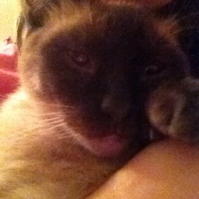 Profile Picture of Julia Barton (@sweettonk725) on Twitter