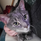 Profile Picture of Kaitlin Wright (@FreyaNeziah) on Youtube