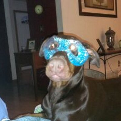 Profile Picture of Anthony Riggio (@AnthonyRiggio) on Twitter