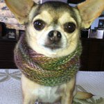 Profile Picture of Tricia Koenig (@treetle) on Instagram