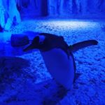 Mark Leighton - Instagram Profile Picture of Mark Leighton (@leighton_mark) on Instagram