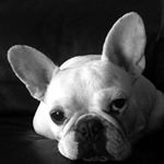 Profile Picture of Susan Eager (@sueeager) on Instagram