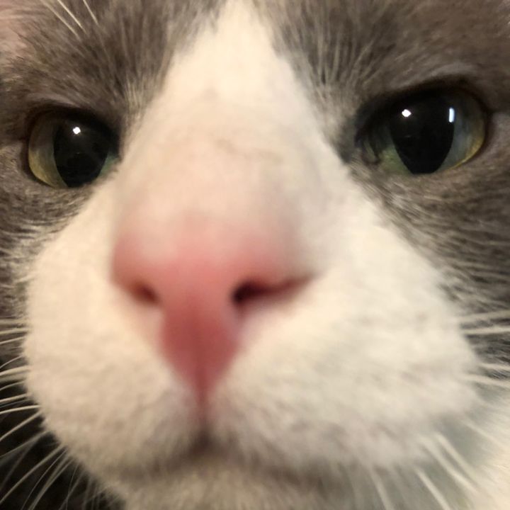 Profile Picture of scurlocc (@scurlocc) on Tiktok