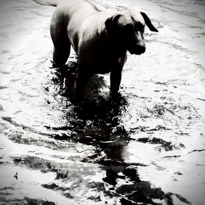 Profile Picture of Randy Wills (@munitough) on Twitter