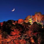 Profile Picture of Luk Ming Yin Anson (@anson_m.y._luk) on Instagram