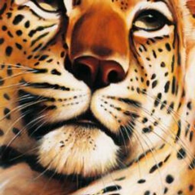 Profile Picture of Renée Sparaino (@renesparaino) on Twitter