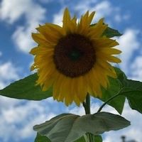 Profile Picture of Maria Scappaticci (@maria-scappaticci) on Quora