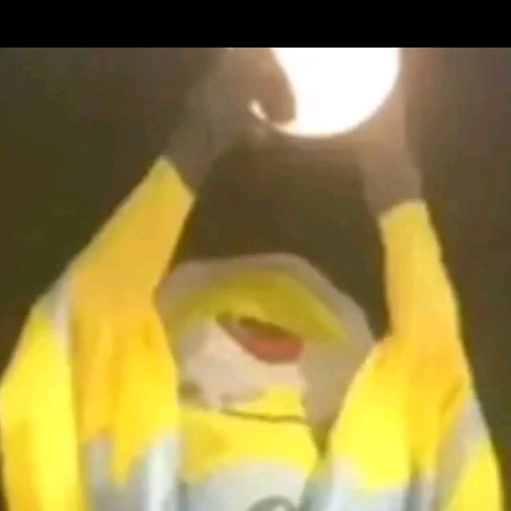 Profile Picture of paulvanniekerk3 (@paulvanniekerk3) on Tiktok