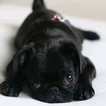 Profile Picture of Katelyn Stewart (@katelyn.stewart.3150) on Instagram