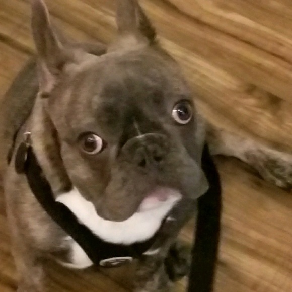 Profile Picture of Amanda Joel (@1denimgirl) on Poshmark