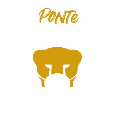 Profile Picture of Mario Rojas (#Quedateen🏠 Y Si Sales😷) (@mario_rojas) on Twitter