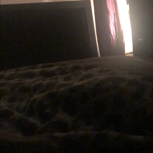 Profile Picture of Dakota Stenzel (@koda11419) on Poshmark