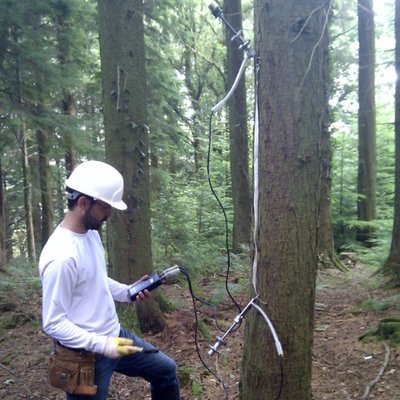 Profile Picture of David Gil-Moreno (@GilMorenoTimber) on Twitter