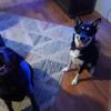 Profile Picture of nancystokes357 (@@nancystokes357) on Tiktok