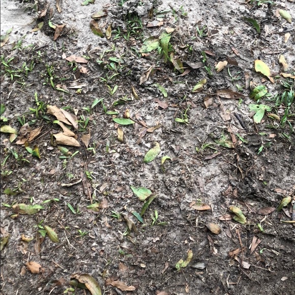 Profile Picture of David Warner (@doovemalone) on Poshmark