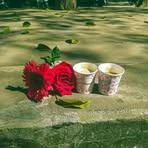 Profile Picture of Sabrin Fariya (@Sabrin-Fariya) on Facebook