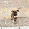 Profile Picture of iattana (@@annattai) on Tiktok