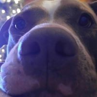 Profile Picture of Heather Lynn Beck (@heather-lynn-beck) on Quora
