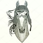 Profile Picture of Cam'ron Hodgson (@sir_mustang_) on Instagram