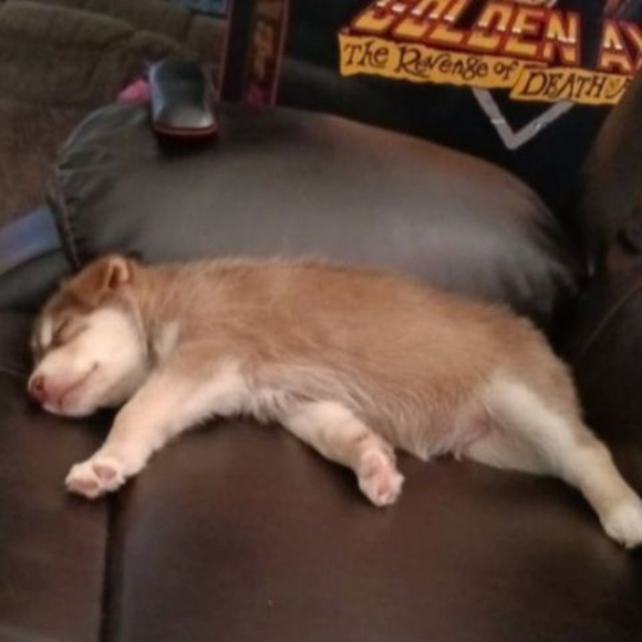 Profile Picture of Madison Leopard (@addison639) on Poshmark