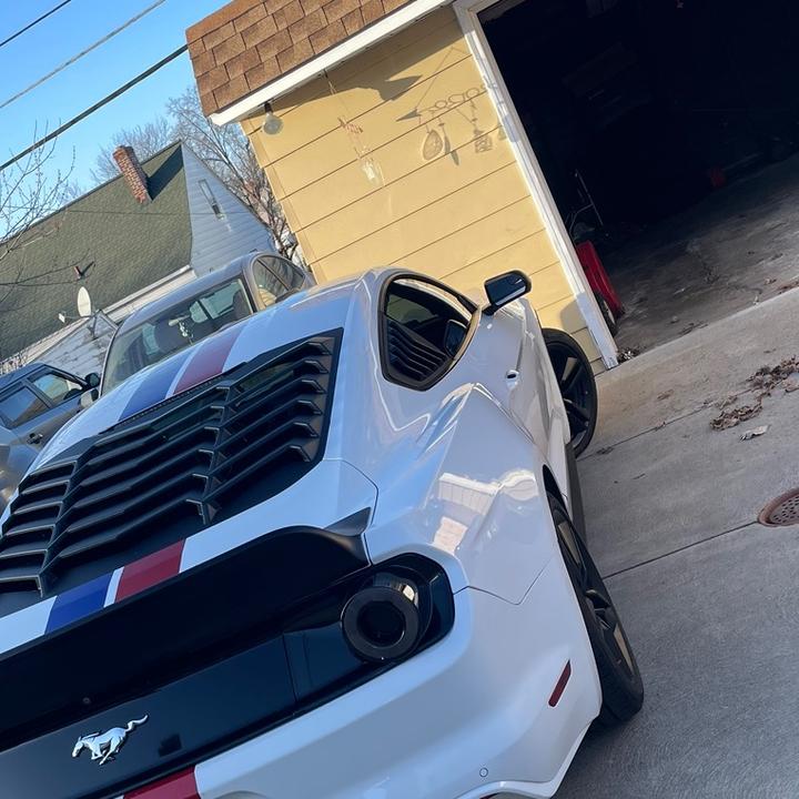 Profile Picture of stevenalderman807 (@12335678910111213abcd) on Tiktok