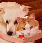 Profile Picture of James Greiner (@james.greiner.315) on Facebook