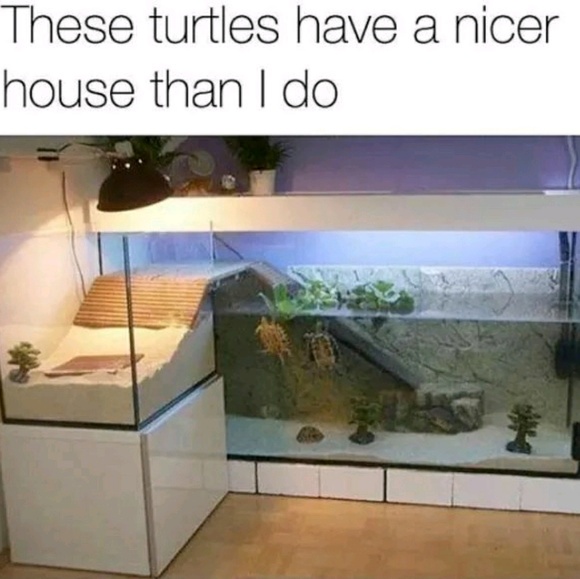 Profile Picture of Zac Schoenbauer (@zacschoen) on Poshmark