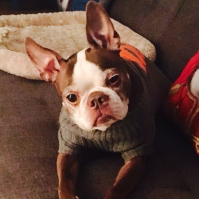 Profile Picture of Cory Garrett (@corygarrett1505) on Twitter