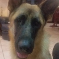 Profile Picture of Sandra Benson (@sandra-benson-76) on Quora