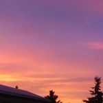 Profile Picture of Michelle Stubblefield (@michelle.stubblefi) on Instagram