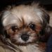 Profile Picture of Scott Schlipf (@scott.schlipf) on Facebook