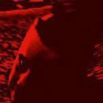 Profile Picture of Daniel Buzzard (@danielbuzzard) on Instagram