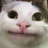 Profile Picture of Jacob Rand (@@jacob_washere0) on Tiktok