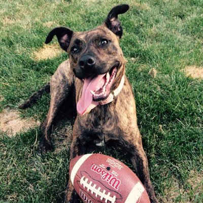 Profile Picture of Edward Richards (@edsrich) on Twitter