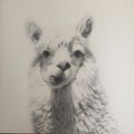 Profile Picture of Ajay Aurora (@ajayaurora) on Instagram