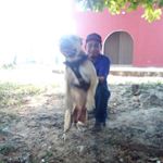 humberto navarrete - Instagram Profile Picture of humberto navarrete (@navarrete7123) on Instagram